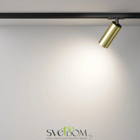 TR021-1-12W4K-W-BBS Maytoni