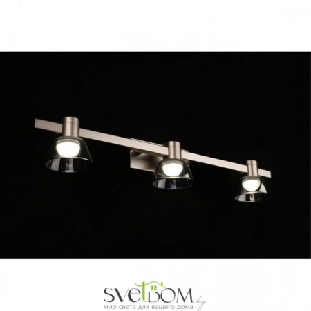 Настенные светильники APL.788.01.03 Aployt | Svetdom.by