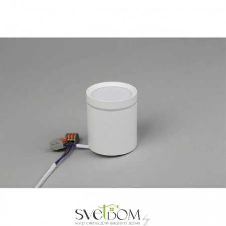 Накладные светильники Omnilux OML-102409-05 от Магазина Svetdom.by