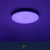 Citilux Купер CL72470G1 LED RGB Светильник с пультом Чёрный CITILUX
