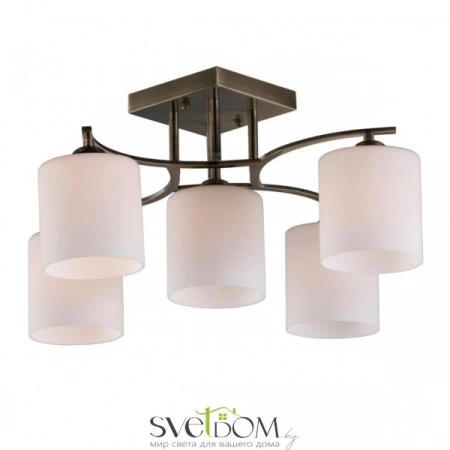 Люстры потолочныеOML-55317-05 Omnilux | Svetdom.by