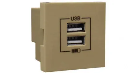 Розетка USB двойная - зарядная - золото Efapel 45439 SDU