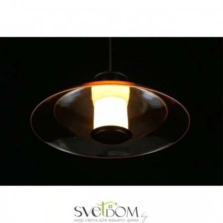 Подвесные светильники Aployt APL.648.16.10 от Магазина Svetdom.by