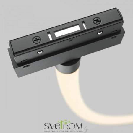 TR101-2-100W3K-B Maytoni