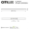 Настенно-потолочные светильники CITILUX CL238690 от Магазина Svetdom.by