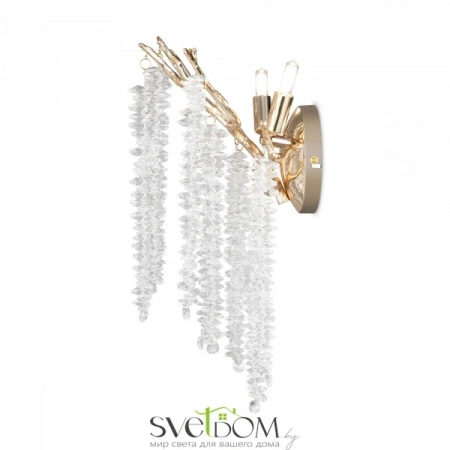 Настенные светильники FR1010WL-02G Freya | Svetdom.by