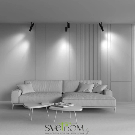 TR005-2-2X12W3K-B Maytoni