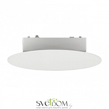 Светильник трековый Aployt  APL.0111.10.06