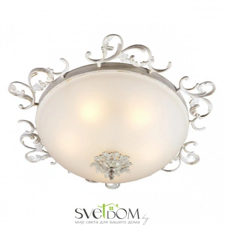 Люстры потолочныеOML-76517-05 Omnilux | Svetdom.by