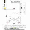 Люстры потолочныеOML-95207-08 Omnilux | Svetdom.by