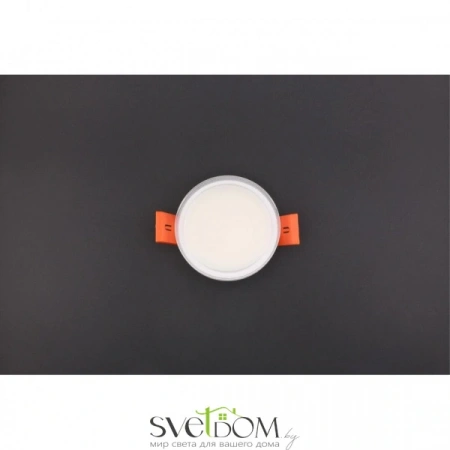 Накладные светильники Aployt APL.0065.09.05 от Магазина Svetdom.by