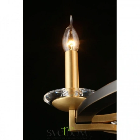 Люстры подвесныеAPL.805.03.06 Aployt | Svetdom.by