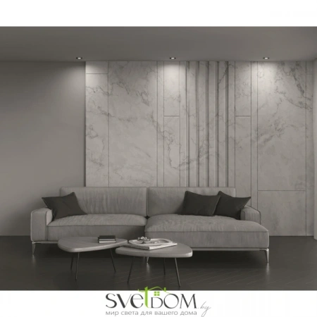 Фото Встраиваемые светильники Maytoni DL023-2-01B Встраиваемые светильники Maytoni DL023-2-01B от Магазина Svetdom.by