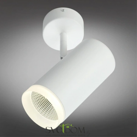 Настенно-потолочные светильники Omnilux OML-102609-20 от Магазина Svetdom.by