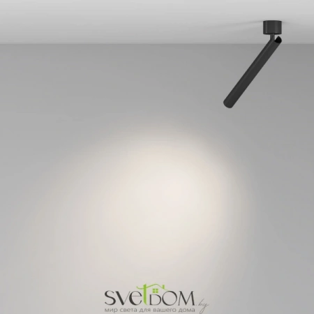 Потолочные светильники Maytoni C141CL-L300-6W4K-B от Магазина Svetdom.by