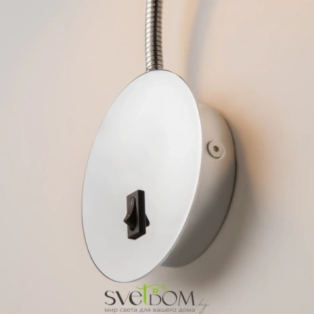 Настенные светильники C035WL-L3CH3K Maytoni | Svetdom.by