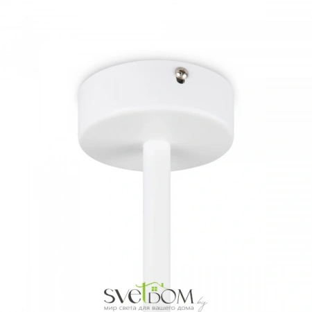 Потолочные светильники Freya FR5363CL-04W от Магазина Svetdom.by