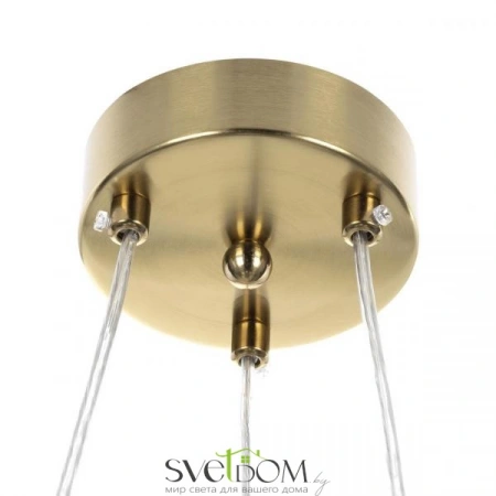Люстры подвесныеCL212163 CITILUX | Svetdom.by