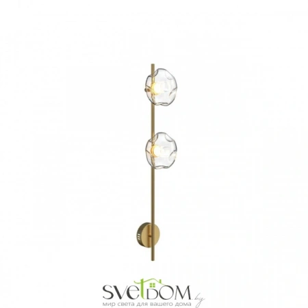 Настенные светильники APL.074.01.02 Aployt | Svetdom.by