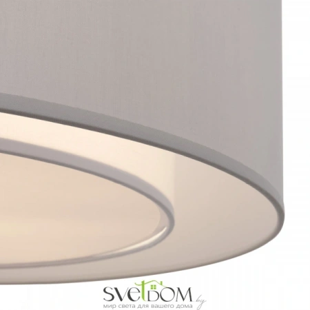 Потолочные светильники Maytoni MOD617CL-04GR от Магазина Svetdom.by