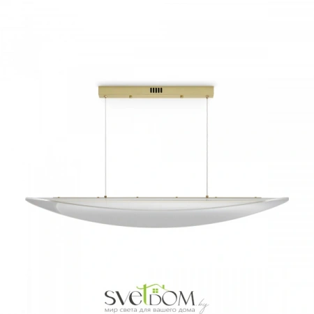 Подвесные светильники Freya FR5441PL-L40G от Магазина Svetdom.by