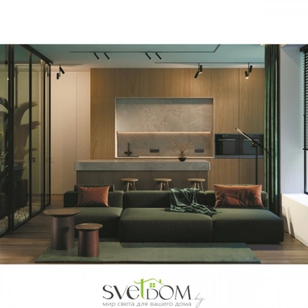 TR141-2-6W3K-M-B Maytoni