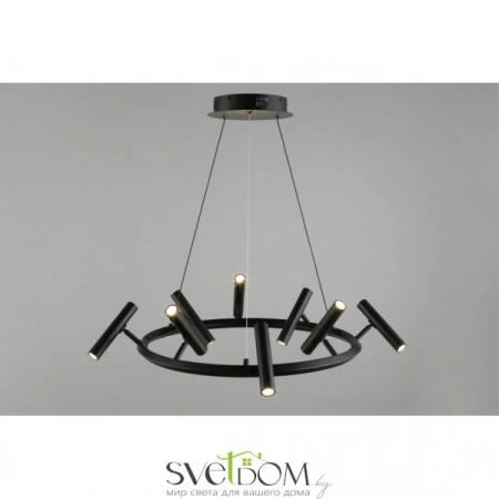 Люстры подвесныеAPL.067.03.40 Aployt | Svetdom.by