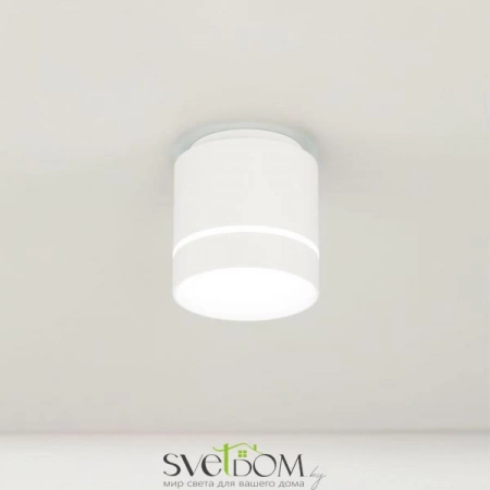 Накладные светильники CITILUX CL745020N от Магазина Svetdom.by