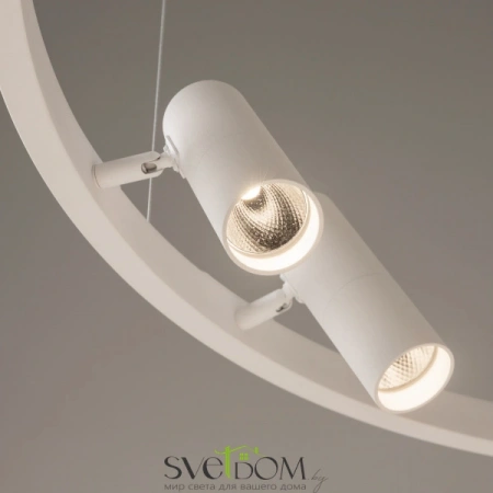 Подвесные светильники Maytoni MOD102PL-L42WK от Магазина Svetdom.by