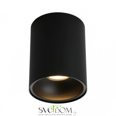 Накладные светильники Omnilux OML-101219-01 от Магазина Svetdom.by