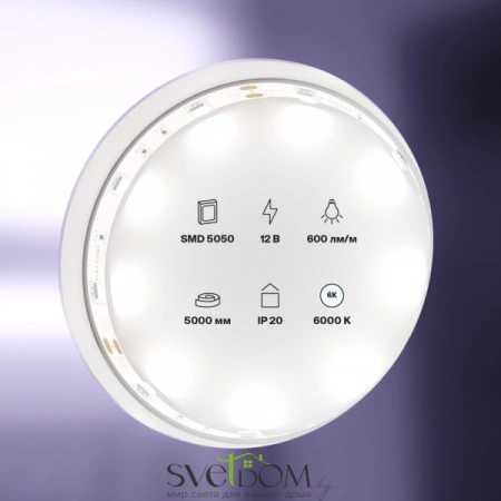 Светодиодная лента 12В 5050 7,2Вт/м  6000K 5м IP20 10122