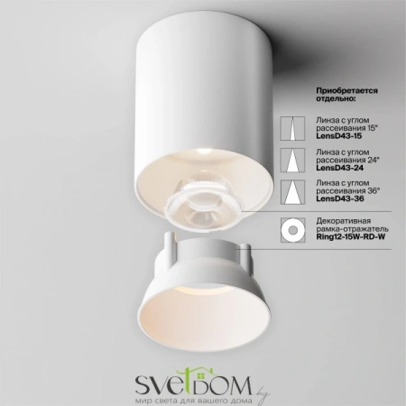 Потолочные светильники Maytoni C064CL-12W3K-RD-WB от Магазина Svetdom.by