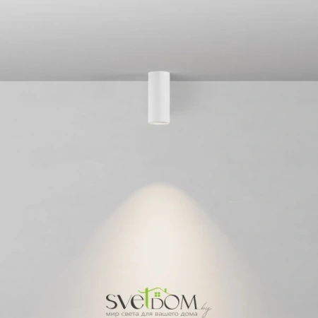 Потолочный светильник Technical C010CL-01W-N Maytoni