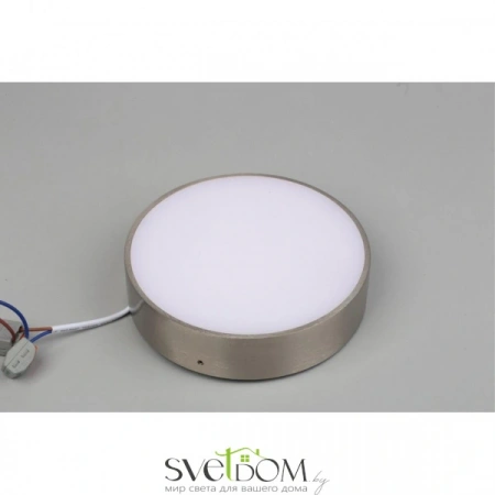 Настенно-потолочные светильники Aployt APL.0114.19.18 от Магазина Svetdom.by