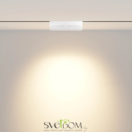 Трековый светильник Technical TR033-2-12W3K-W Maytoni