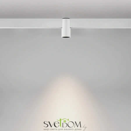 TR122-4-7W-DS-W Maytoni