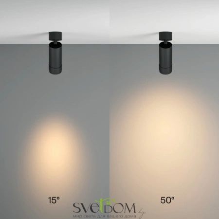 Потолочные светильники Maytoni C055CL-L12W3K-Z-B от Магазина Svetdom.by