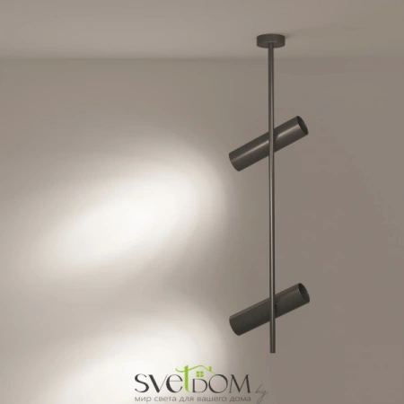 Потолочные светильники Maytoni C021CL-02B от Магазина Svetdom.by