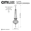 Подвесной светильник Citilux Каир CL419126 CITILUX