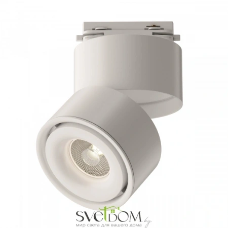 TR084-1-15W4K-D-W Maytoni