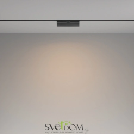 TR036-4-12W3K-DS-B Maytoni