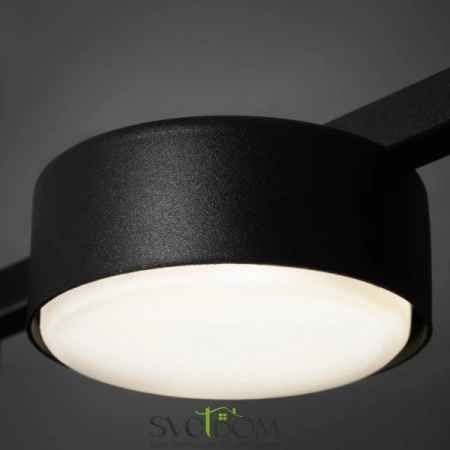 Потолочные светильники Freya FR5363CL-02B от Магазина Svetdom.by