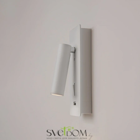 Настенные светильники C041WL-L3W3K Maytoni | Svetdom.by