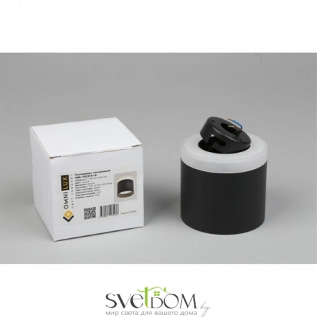 Накладные светильники Omnilux OML-102319-16 от Магазина Svetdom.by