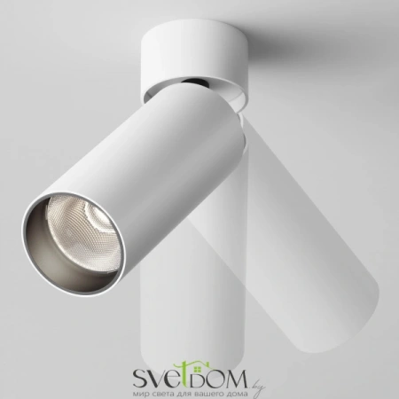 Потолочные светильники Maytoni C055CL-L12W4K-W-W от Магазина Svetdom.by