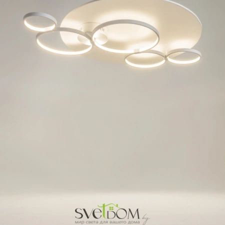 Потолочные светильники Maytoni MOD448CL-L40WK от Магазина Svetdom.by