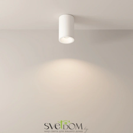 Потолочные светильники Maytoni C029CL-01-S-W от Магазина Svetdom.by