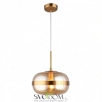 Светильник подвесной Aployt  APL.305.16.01