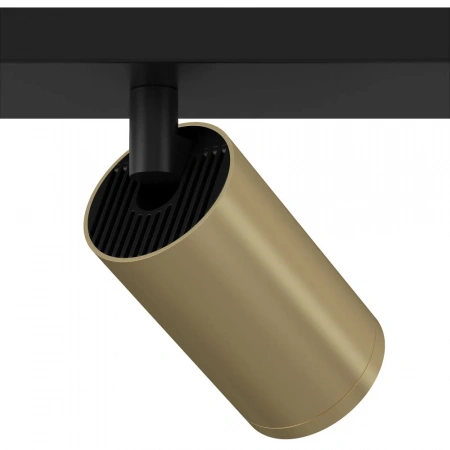 Потолочные светильники Maytoni C051CL-02BMG от Магазина Svetdom.by