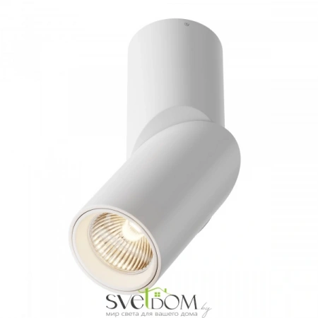 Потолочные светильники Maytoni C027CL-L10W от Магазина Svetdom.by